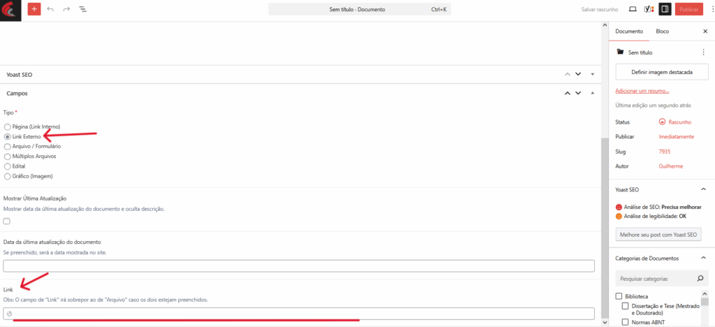 3- Agora desça a página e clique em "Link Externo", adicione o link do documento no campo grifado pela linha vermelha.